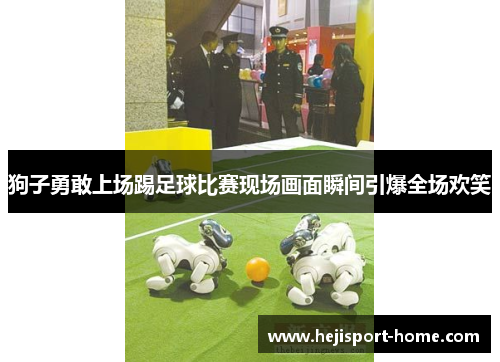 狗子勇敢上场踢足球比赛现场画面瞬间引爆全场欢笑